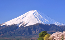 予防接種を打っている写真